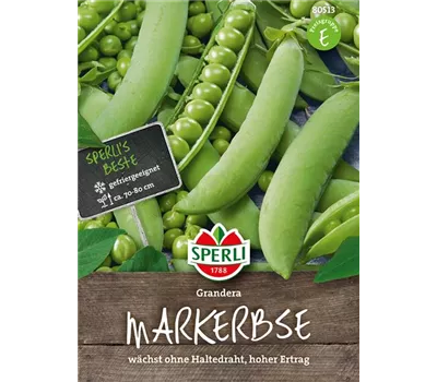 Markerbse 'Grandera' Markerbse 'Grandera'