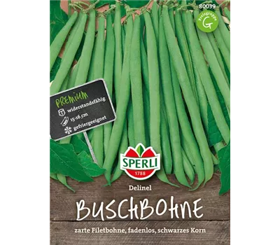 Busch-Bohne 'Delinel' Busch-Bohne 'Delinel'