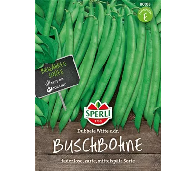 Busch-Bohne 'Doppelte holländische Prinzess' Busch-Bohne 'Doppelte holländische Prinzess'