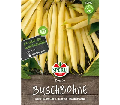 Buschbohne 'Dorado' Buschbohne 'Dorado'