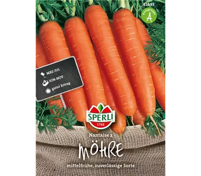Möhre 'Nantaise 2' Möhre 'Nantaise 2'