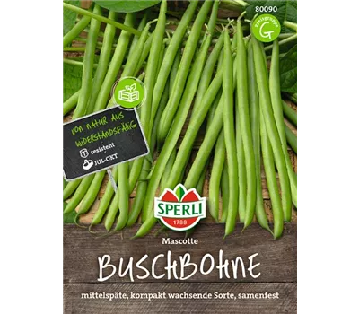 Buschbohne 'Mascotte' Buschbohne 'Mascotte'