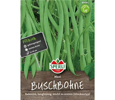 Busch-Bohne 'Maxi' Busch-Bohne 'Maxi'