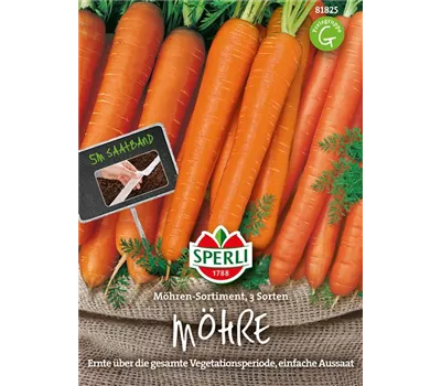 Gartenmöhre Gartenmöhre