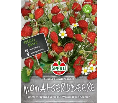 Monatserdbeere 'Bowlenzauber' Monatserdbeere 'Bowlenzauber'