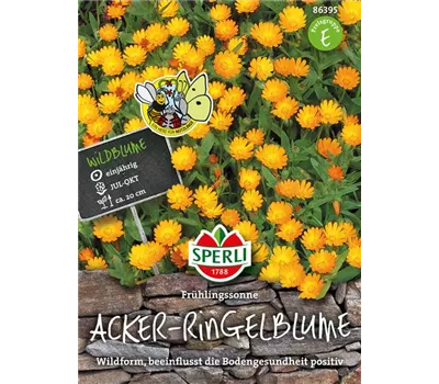 Acker-Ringelblume 'Frühlingssonne' Acker-Ringelblume 'Frühlingssonne'