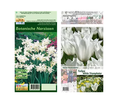 Blumenzwiebel Set 'Colorful White' Blumenzwiebel Set 'Colorful White'
