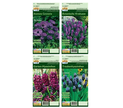Blumenzwiebel Set 'Crazy Purple' Blumenzwiebel Set 'Crazy Purple'