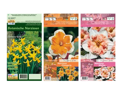 Blumenzwiebel Set 'Diversity' Blumenzwiebel Set 'Diversity'