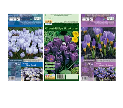 Blumenzwiebel Set 'Farbenvielfalt' Blumenzwiebel Set 'Farbenvielfalt'