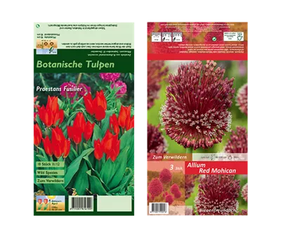Blumenzwiebel Set 'Flamming Love' Blumenzwiebel Set 'Flamming Love'