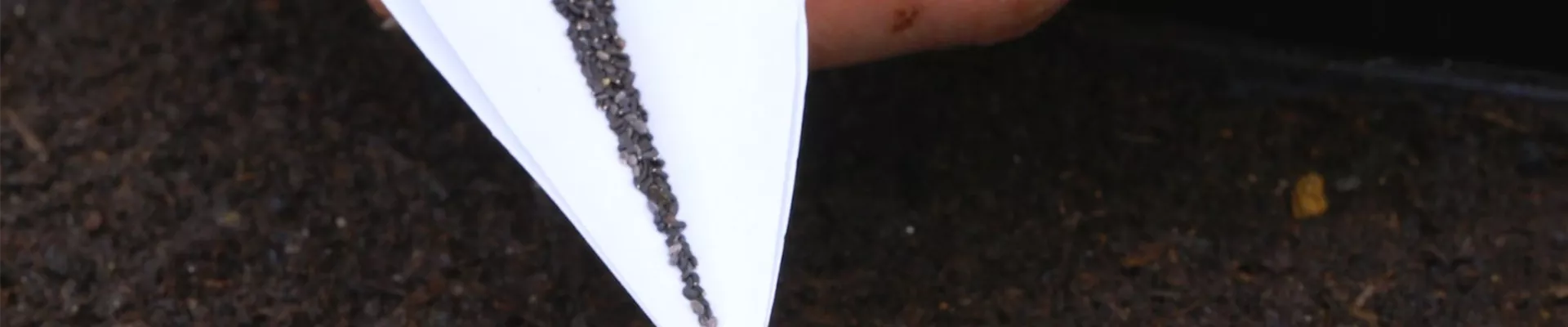 Zitronenmelisse - Aussaat (Thumbnail).jpg Zitronenmelisse - Aussaat (Thumbnail).jpg