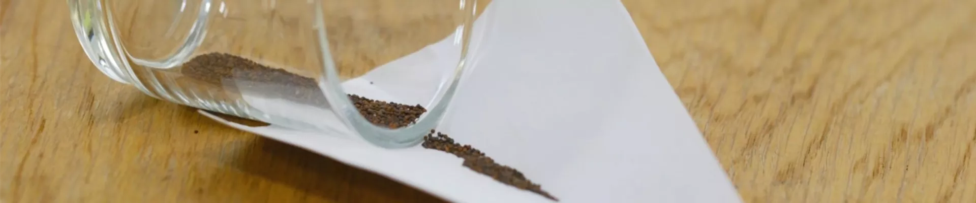 Thymian - Aussaat (Thumbnail).jpg Thymian - Aussaat (Thumbnail).jpg