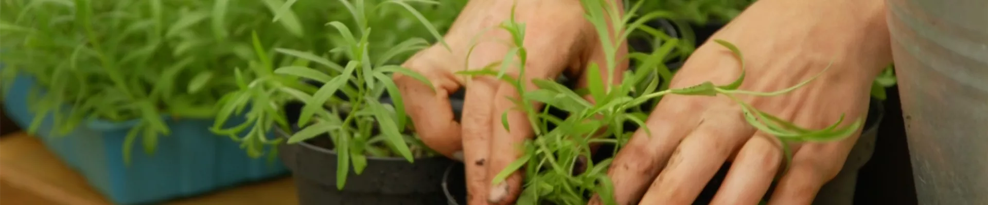 thumbnail.jpg thumbnail.jpg