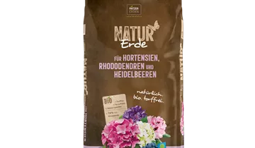 dhu thuja d6 globuli anwendung Pflger Thuja D6 Globuli Thuja occidentalis D6 Streukgelchen 10 g
