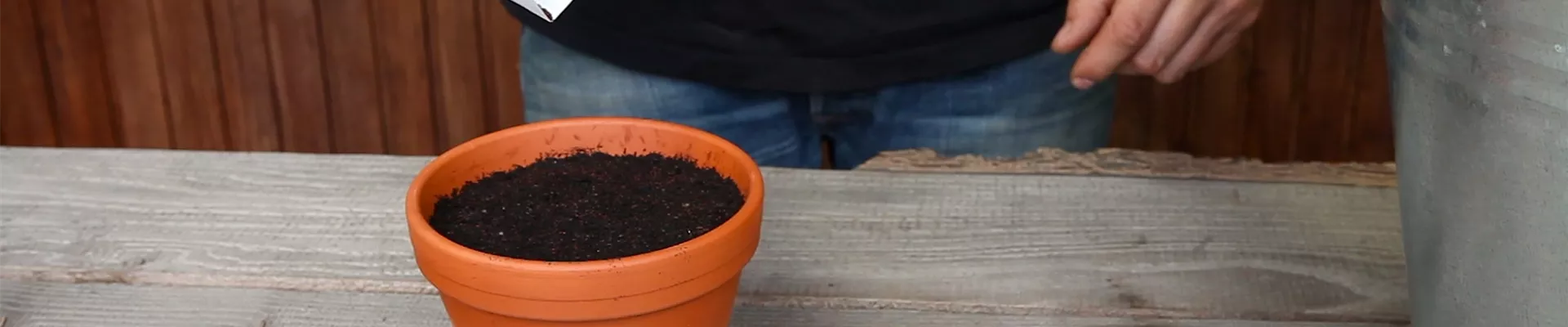 Oregano - Aussäen von Samen (thumbnail).jpg Oregano - Aussäen von Samen (thumbnail).jpg