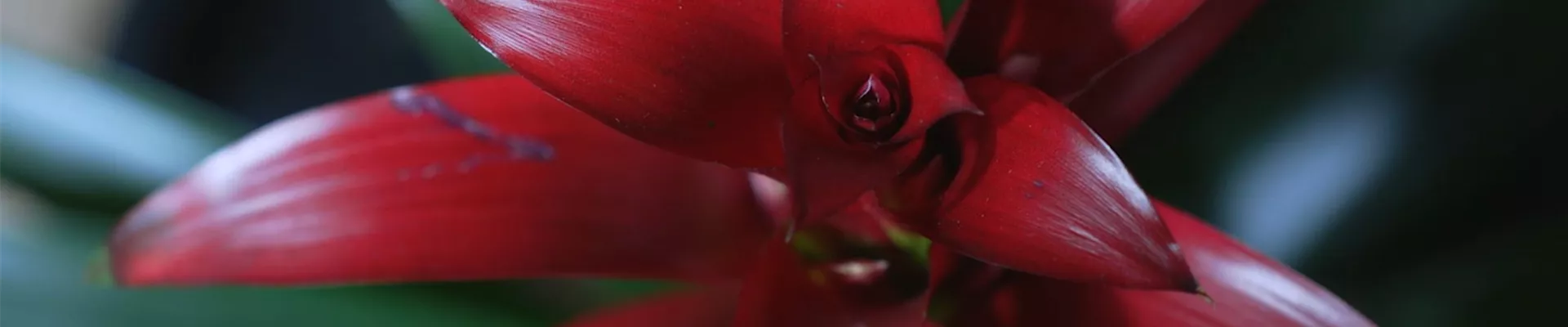 Ashampoo_Snap_Dienstag, 21. Juni 2022_09h03m06s_001_.jpg Ashampoo_Snap_Dienstag, 21. Juni 2022_09h03m06s_001_.jpg