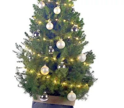 Weihnachtsbäumchen - silber Weihnachtsbäumchen - silber