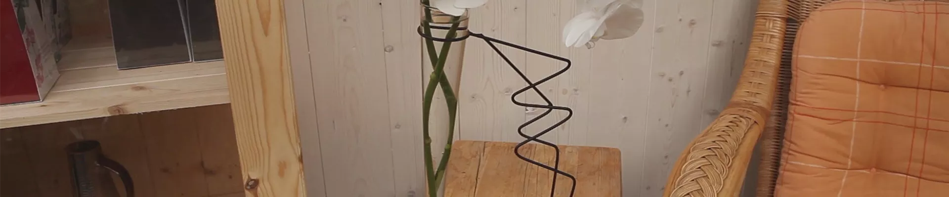 Orchidee - Anschneiden für den Heimgebrauch (thumbnail).jpg Orchidee - Anschneiden für den Heimgebrauch (thumbnail).jpg