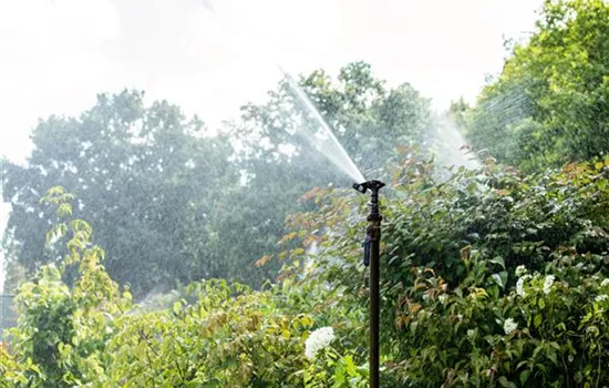 Praxiserprobte Tipps für eine nachhaltige Bewässerung Praxiserprobte Tipps für eine nachhaltige Bewässerung