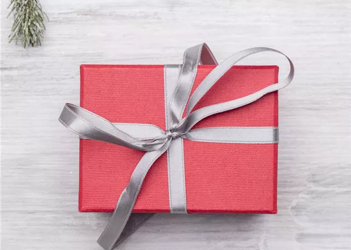 Accessoires u. Geschenke Accessoires u. Geschenke