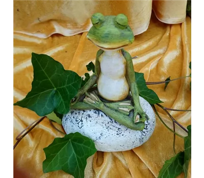 Frosch Pose 1 Frosch Pose 1