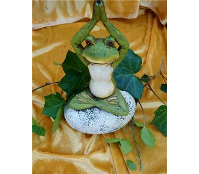 Frosch Pose 2 Frosch Pose 2