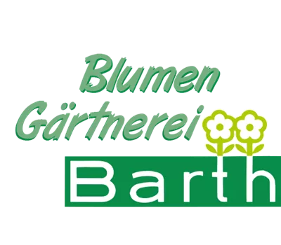 Schmucklilien umtopfen Schmucklilien umtopfen