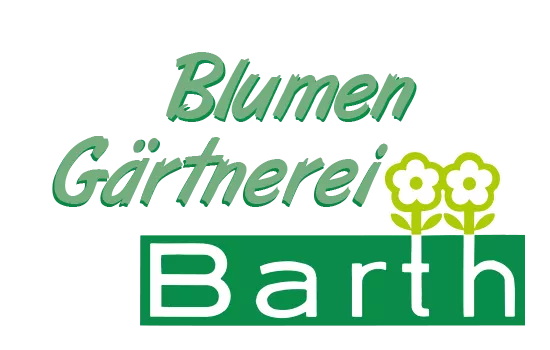 Garten-Prachtspiere 'Bremen'
