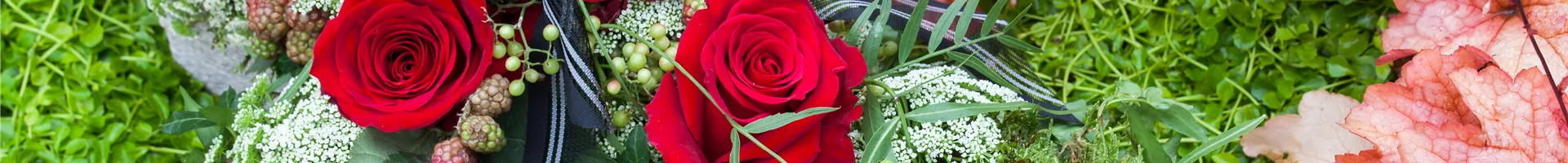 GS502019.jpg GS502019.jpg