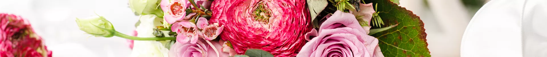 GS584448.jpg GS584448.jpg