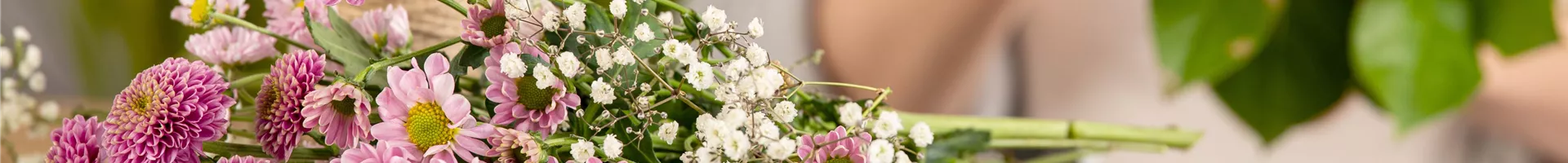 GS657520.jpg GS657520.jpg