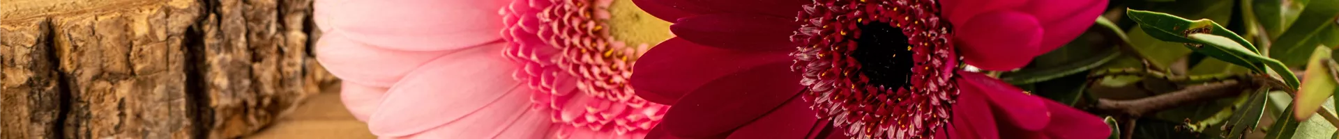 GS657552.jpg GS657552.jpg