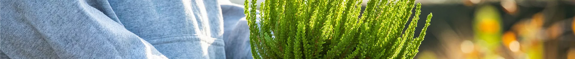 GS654705.jpg GS654705.jpg