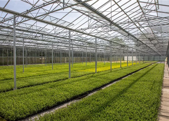 Unternehmen Unternehmen