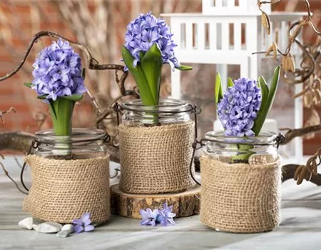 Frühling vor der Haustür – Zeit für Dekoration