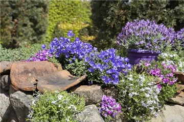 Gartenarbeiten im Mai Gartenarbeiten im Mai