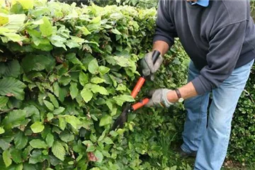 Schneidwerkzeuge und Zubehör