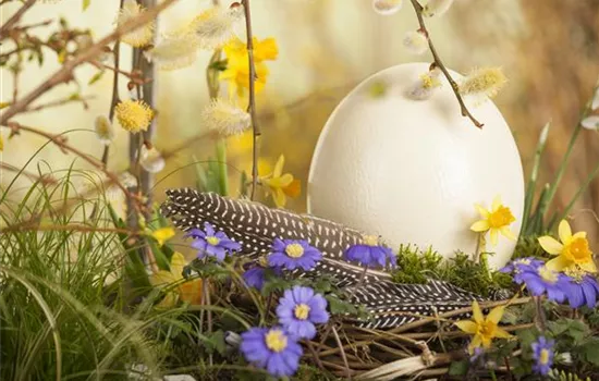 Das Garten-Paradies für Osterhase und Co. Das Garten-Paradies für Osterhase und Co.