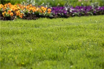 Für jeden Garten den richtigen Rasen Für jeden Garten den richtigen Rasen