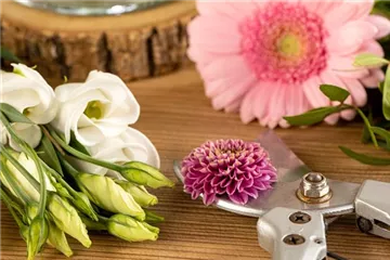 Schnittblumen - was hilft wirklich? Schnittblumen - was hilft wirklich?