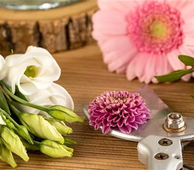 Schnittblumen - was hilft wirklich? Schnittblumen - was hilft wirklich?