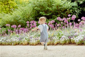 Spielplatz Garten: Sicherheit kann Spaß machen Spielplatz Garten: Sicherheit kann Spaß machen