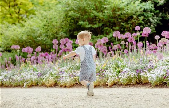 Spielplatz Garten: Sicherheit kann Spaß machen Spielplatz Garten: Sicherheit kann Spaß machen