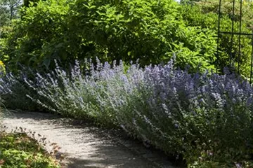 Sie sind bewegend! Wege, die durch den Garten führen. Sie sind bewegend! Wege, die durch den Garten führen.