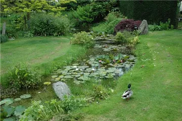 Der Bachlauf im Garten – Wasser bringt Ruhe und Erholung Der Bachlauf im Garten – Wasser bringt Ruhe und Erholung