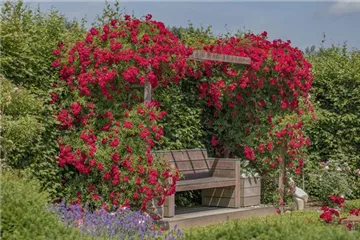 So werden Cottage-Träume wahr So werden Cottage-Träume wahr