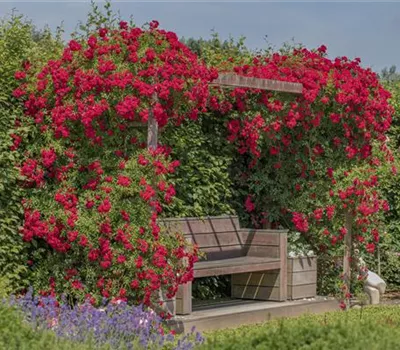 So werden Cottage-Träume wahr So werden Cottage-Träume wahr