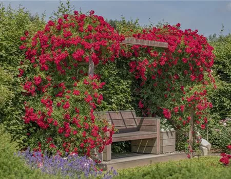 So werden Cottage-Träume wahr