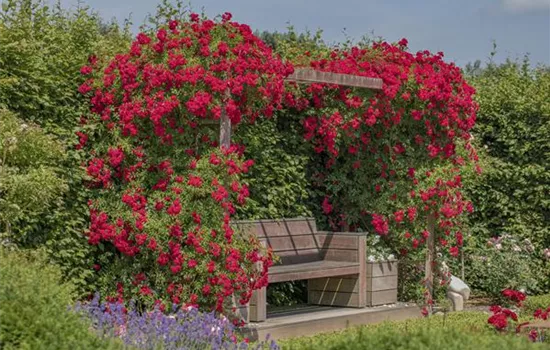 So werden Cottage-Träume wahr So werden Cottage-Träume wahr